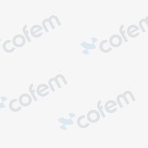 Suport de montaj în rack de 19” C88SR19 pentru centrala Lyon Remote și sursele PWS03/05 | Cofem (Spania)