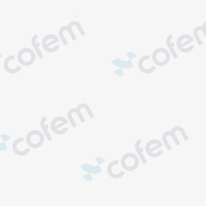 Placă de conectare Cofem360 pentru centralele Onix, Quartz, Rubí și Silver – monitorizare de pe smartphone | Cofem (Spania)
