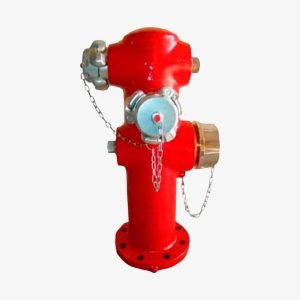 Hidrant suprateran cu coloană umedă 4”, 2 × Ø70, cu dopuri antifurt | Cofem (Spania)